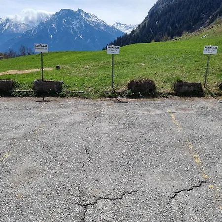 Arnika Blatten bei Naters