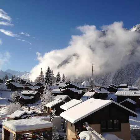 Arnika * Blatten bei Naters