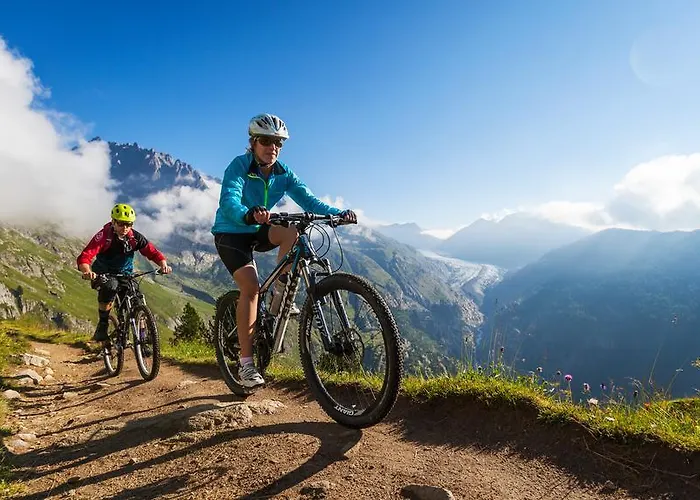 آرنيكا شقة ناترز