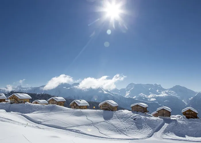 آرنيكا شقة *