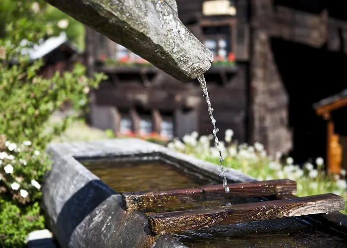 شقة آرنيكا ناترز