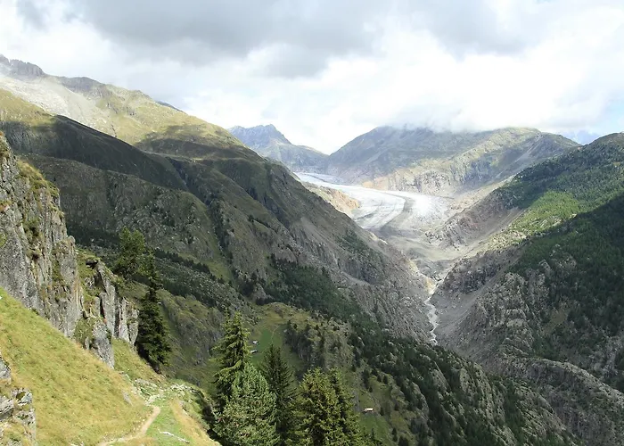 شقة آرنيكا *