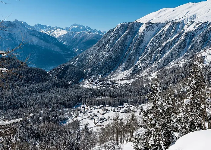 آرنيكا * ناترز