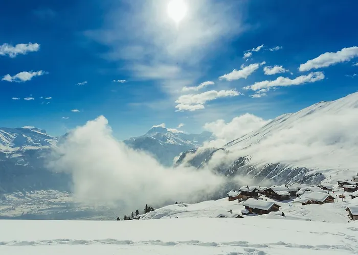 شقة آرنيكا *