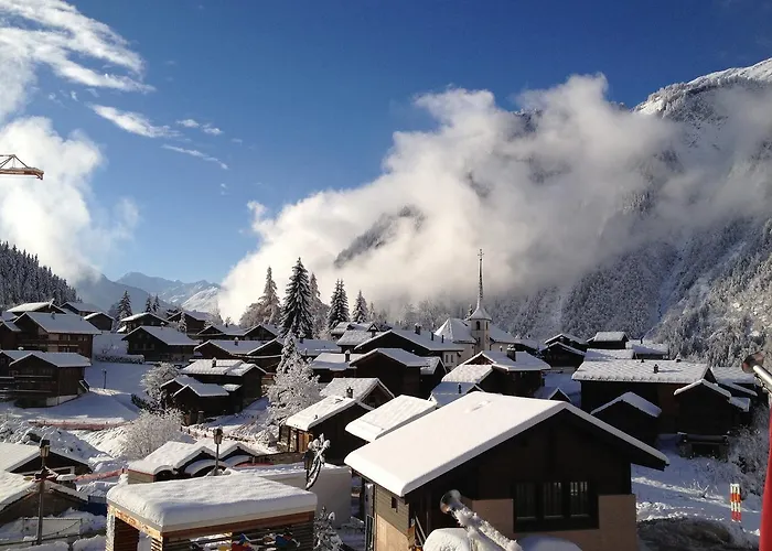 آرنيكا * ناترز