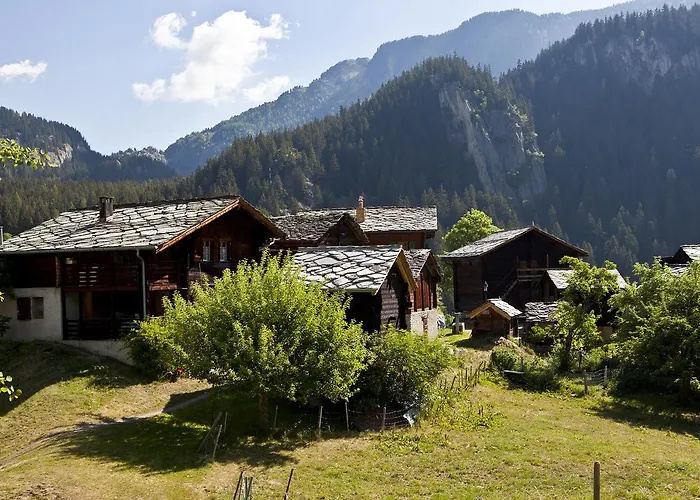 آرنيكا شقة *