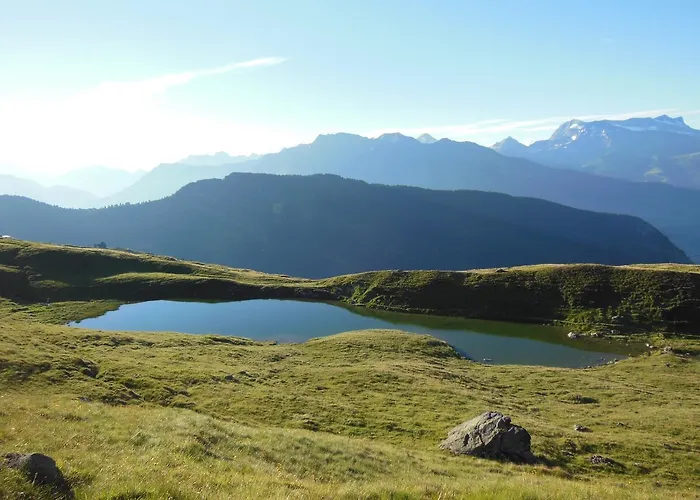 آرنيكا * ناترز