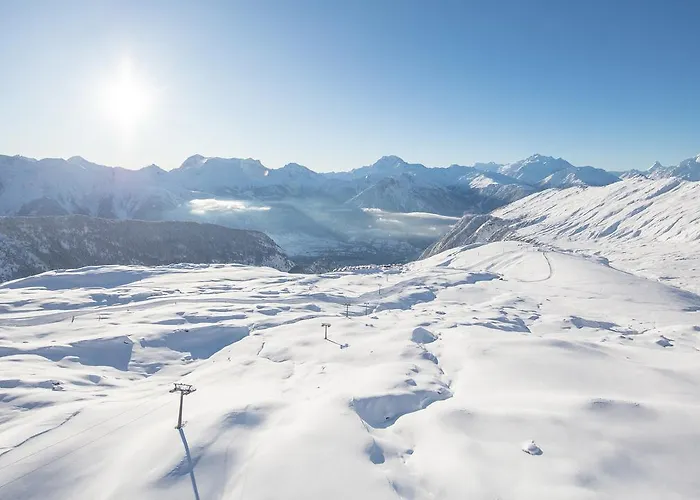 آرنيكا شقة *