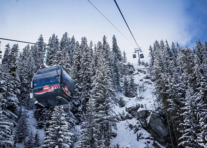 آرنيكا ناترز