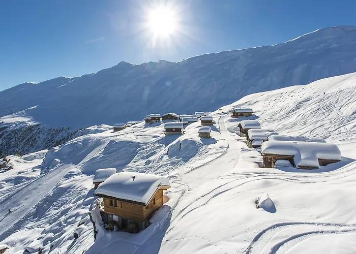 آرنيكا شقة *