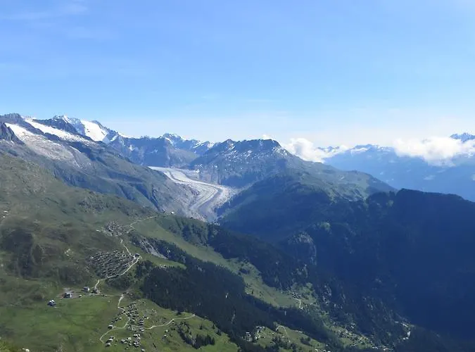 آرنيكا شقة ناترز