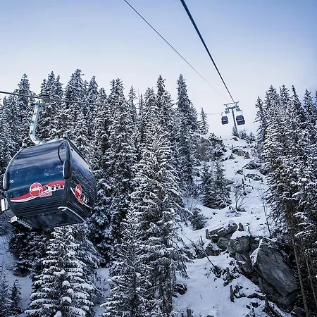 Arnika ナータース